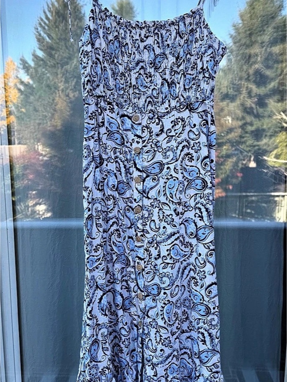 Zara Paisley Maxi Dress in Blue & White Size Medium Like New
